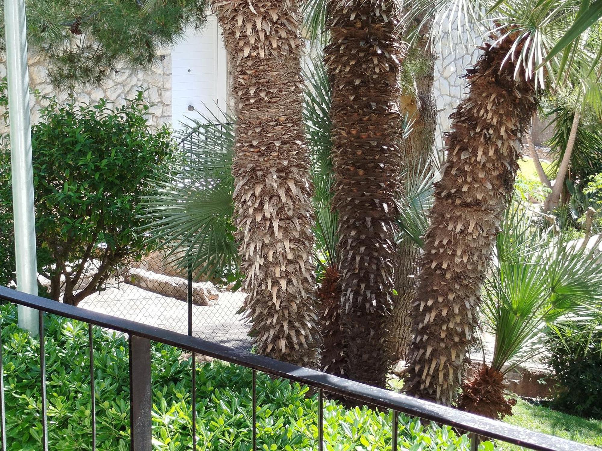 Brisa Del Mar Διαμέρισμα Σαλού Εξωτερικό φωτογραφία